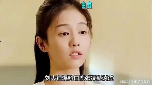 白鹿和张凌赫圈内爆料,揭秘娱乐圈背后的真实故事  第1张 白鹿和张凌赫圈内爆料,揭秘娱乐圈背后的真实故事  第1张